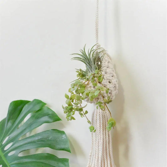 hanging macrame plant basket