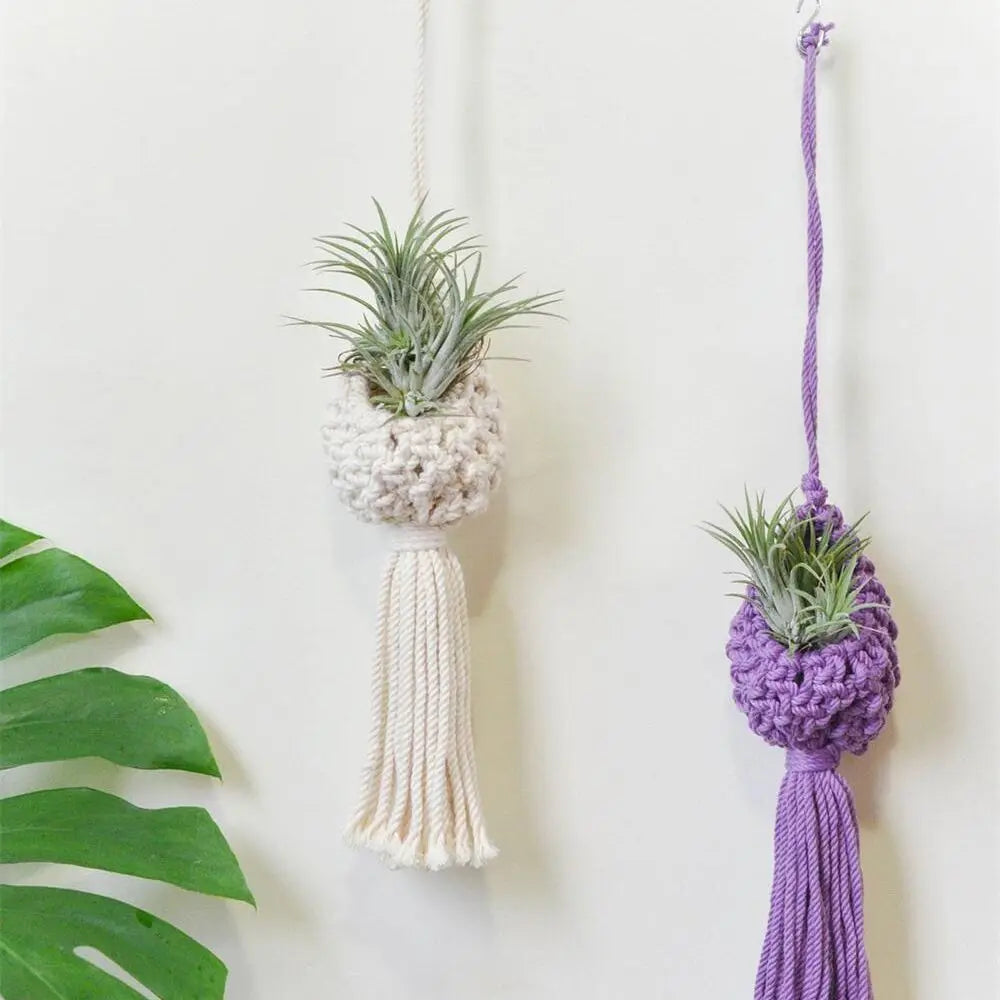 hanging macrame plant basket