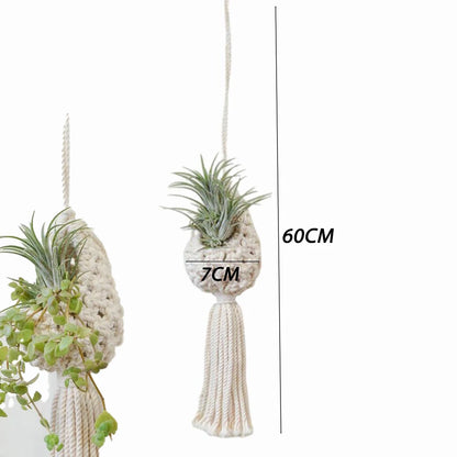 hanging macrame plant basket